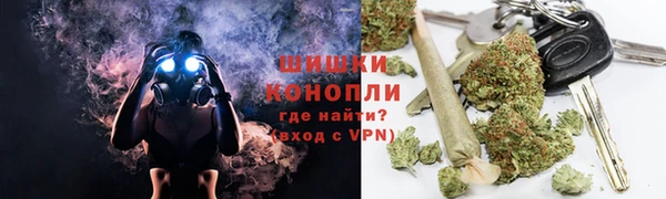 прущая мука Дмитриев