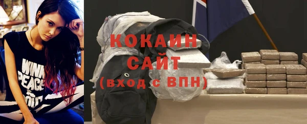 мет Дмитров