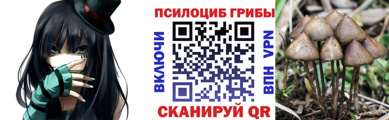 Галлюциногенные грибы MAGIC MUSHROOMS  Шахты 