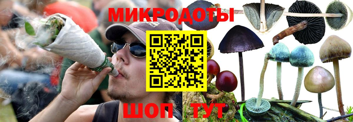 Псилоцибиновые грибы Psilocybine cubensis Шахты